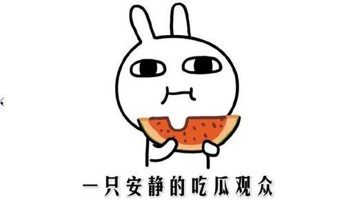 吃瓜网今日吃瓜热门吃瓜在线观看,吃瓜网“吃瓜在线观看”带你畅享吃瓜盛宴