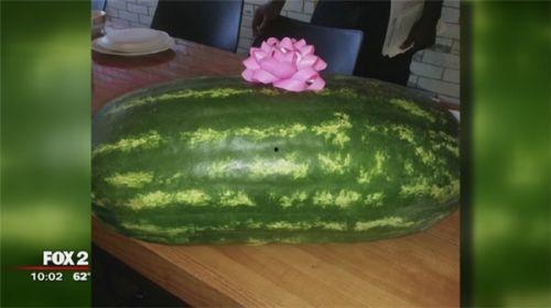 吃黑瓜网,揭秘美食世界的秘密花园
