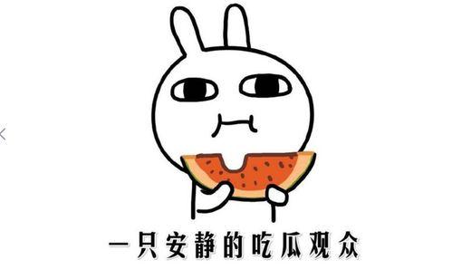 吃瓜抖音快手网红,吃瓜群众的新宠儿