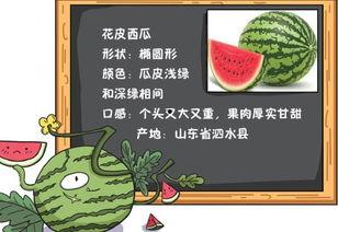 吃瓜网的推荐内容,热门推荐内容大盘点