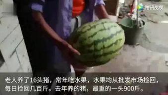 吃瓜网哪里看最新视频,最新视频速递，一网打尽热门资讯！