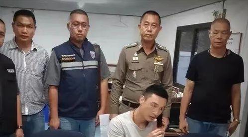 礼县吃瓜网红事件始末,一场网络舆论的风暴与反思