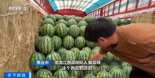 娱乐吃瓜718入口